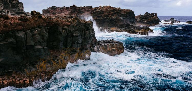 Renacimiento, faros y tormentas: el desarrollo profesional en tiempos de incerti...