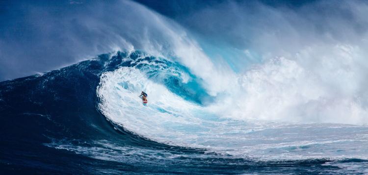 Renacimiento, faros y tormentas: el desarrollo profesional en tiempos de incerti...