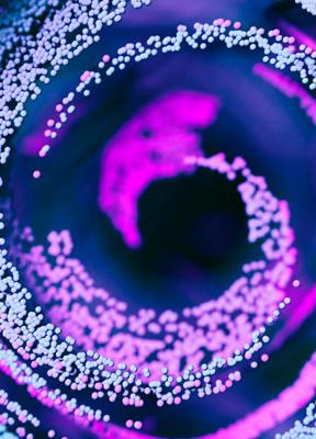 Caso: ¿Cómo generar una cultura innovadora? Aprendizajes del programa Atomik de Novartis