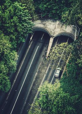 El carro delante del caballo<BR>
El patrocinio de lo social
