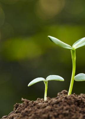 David Robertson: Una tercera vía para la innovación