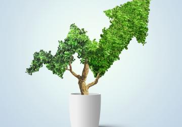 https://sandbox.harvard-deusto.com/sites/default/files/styles/article_normal/public/2019-01/iStock-979167004.jpg?itok=yn3H-kt5&x=1759601563