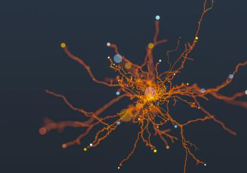 https://sandbox.harvard-deusto.com/sites/default/files/styles/article_normal/public/2019-10/iStock-888421018_0.jpg?itok=MjmUfOcl&x=1759665221