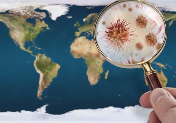 https://sandbox.harvard-deusto.com/sites/default/files/styles/article_normal/public/2020-04/iStock-1209338995.jpg?itok=R5V7E0Ch&x=1759565453