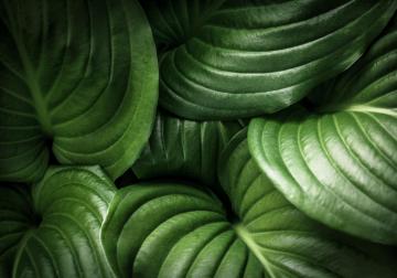 https://sandbox.harvard-deusto.com/sites/default/files/styles/article_normal/public/2020-05/iStock-532350836%20%284%29.jpg?itok=O-AopaUK&x=1748159930