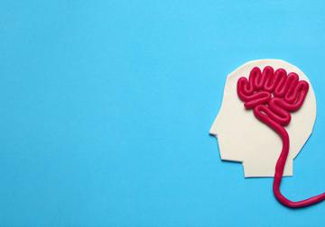https://sandbox.harvard-deusto.com/sites/default/files/styles/article_normal/public/2020-08/salud-mental-era-digital-nuevas-posibilidades.jpg?itok=i3Scgr7z&x=1759607800