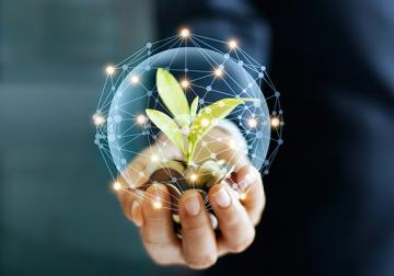 https://sandbox.harvard-deusto.com/sites/default/files/styles/article_normal/public/2021-01/foto-principal-32-33.jpg?itok=fbXs5QHt&x=1759599689