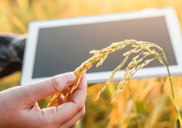 https://sandbox.harvard-deusto.com/sites/default/files/styles/article_normal/public/2021-07/ingredientes-innovacion.jpg?itok=XHNuwvYn&x=1759647645