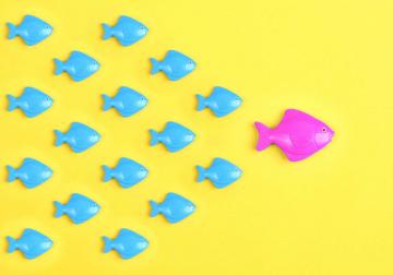 https://sandbox.harvard-deusto.com/sites/default/files/styles/article_normal/public/seis_estilos_de_direccion_de_personas.jpg?itok=mIW3uQV4&x=1748162919
