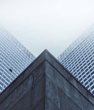 Liderazgo digital: ¿cómo encarar la transformación digital en las empresas?