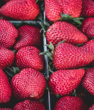 Ahora o nunca: del consumismo desatado al consumo consciente