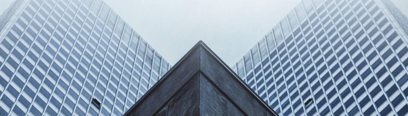 Liderazgo digital: ¿cómo encarar la transformación digital en las empresas?