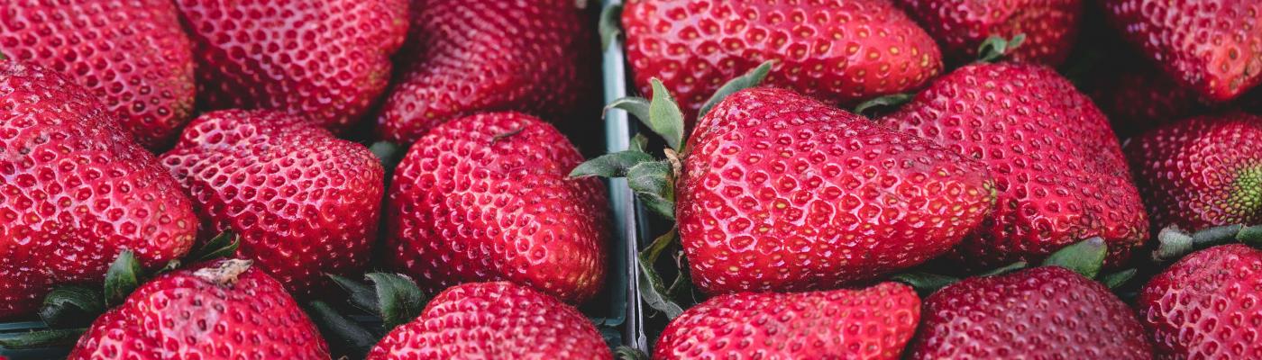 Ahora o nunca: del consumismo desatado al consumo consciente